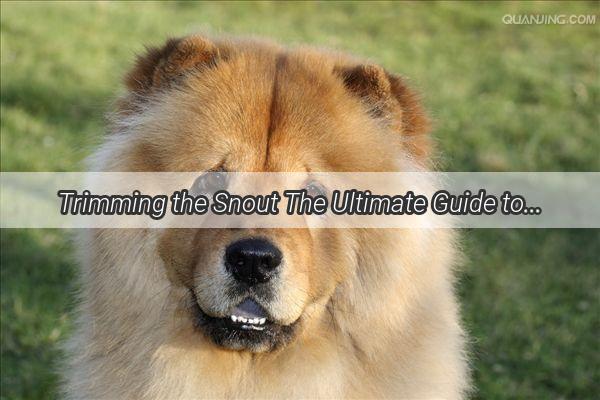 Trimming the Snout The Ultimate Guide to Taming Your Dogs Nose Fur for a Cleaner Healthier Pup